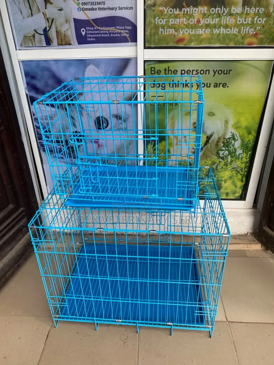 Dog Cages of Different Sizes