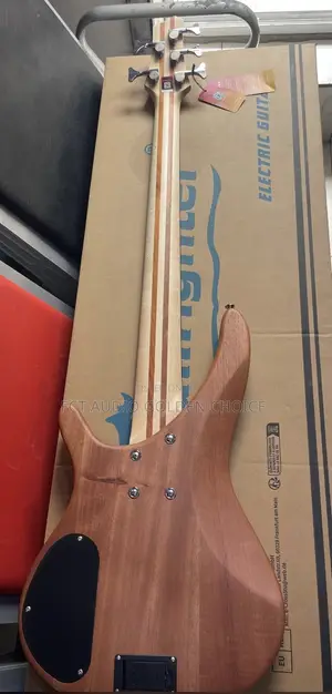 Bullfighter 5string Active  Bass Guitar