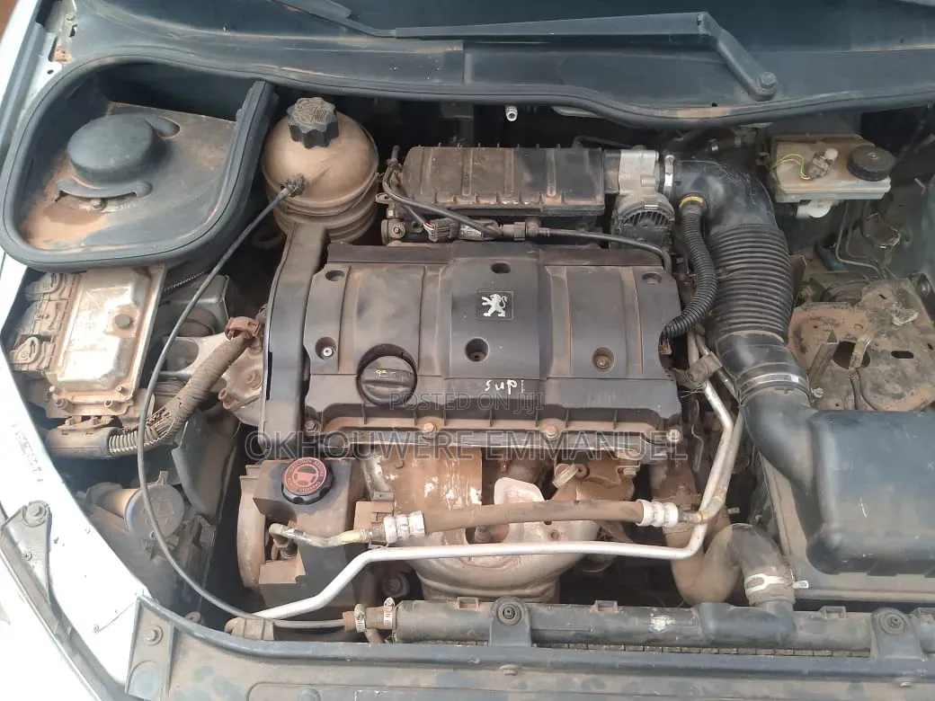 Peugeot 206 2004 Silver