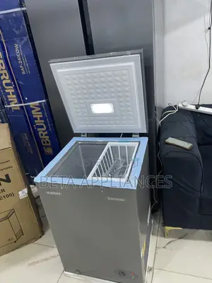 Aeon 100L Freezer – Store Meat, Fish, Drinks & More