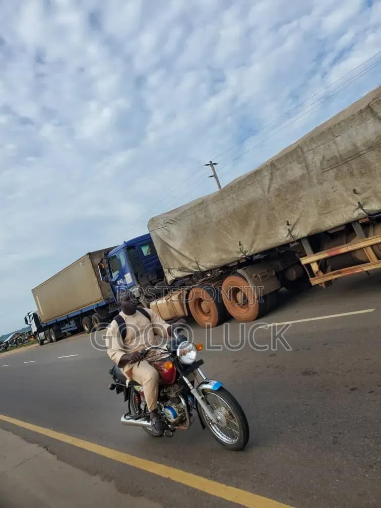 Dangote Cement Distributor