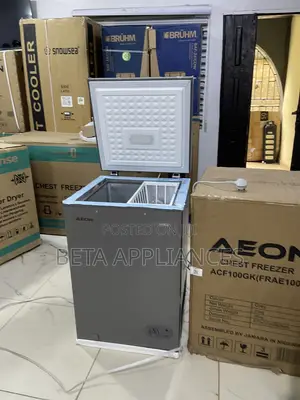 Aeon 100L Freezer – Ideal for Frozen Food Businesses