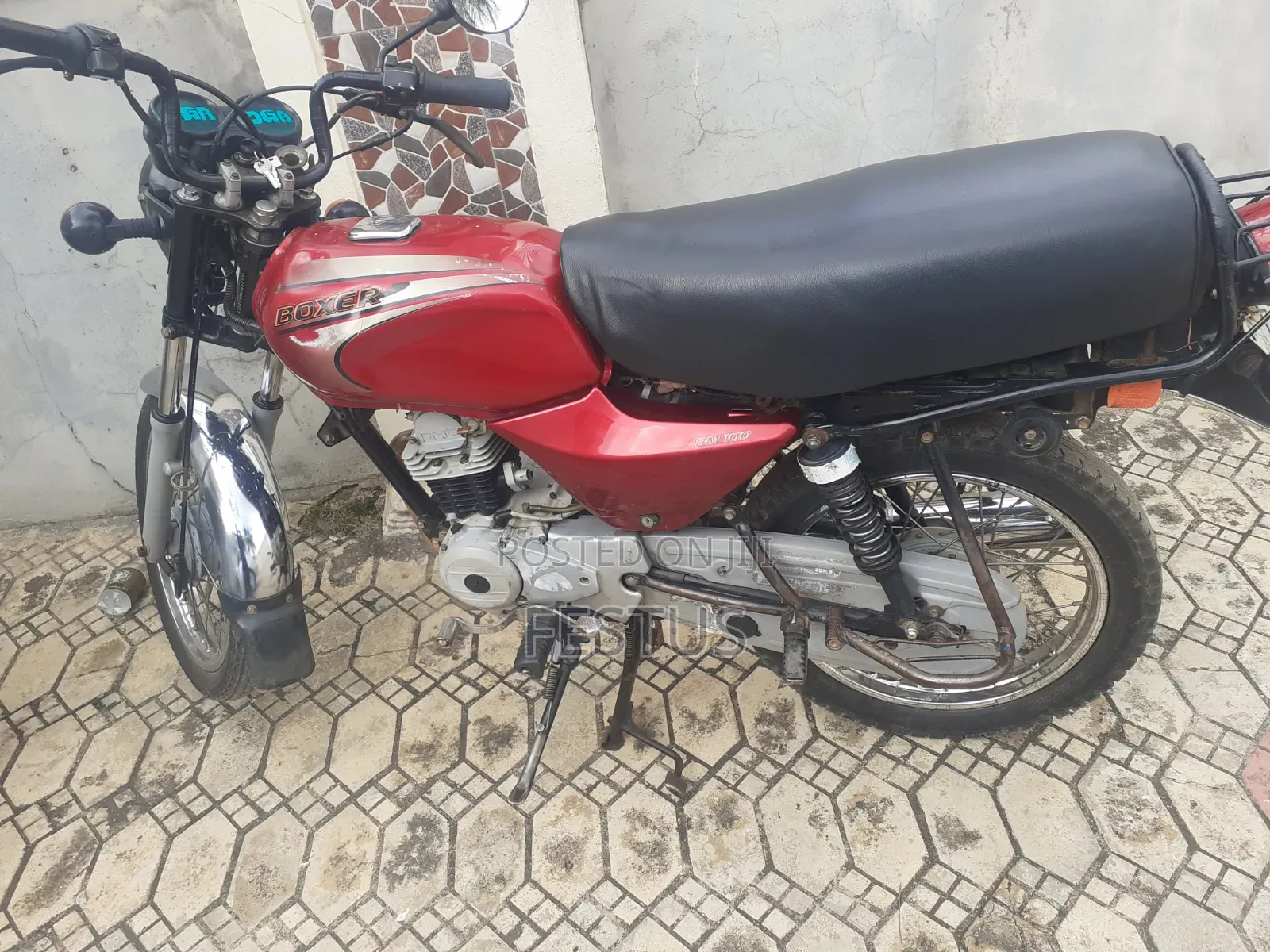 Baja Boxer