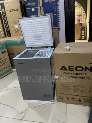 Aeon 100L Deep Freezer – Keep Frozen Foods Organized & Fresh