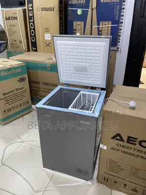 Aeon 100L Freezer – Dependable Cold Storage for Shops & Offices