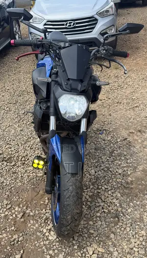Yamaha FZ 2018 Blue