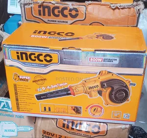800W Aspirator Blower