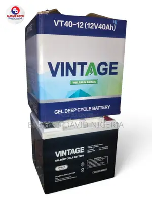 Vintage 12V 40Ah Deep Cycle Gel Battery VT40-12
