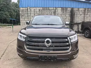 Great Wall Pao 2.0 Petrol AWD 2020 Gray