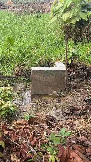 One Plot of Land Location at Odonguyan Ikorodu