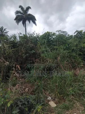 450sqm Residential Land at Isi Court, Olokoro Umuahia – ₦18M