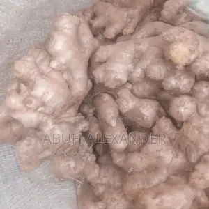 Fresh Ginger