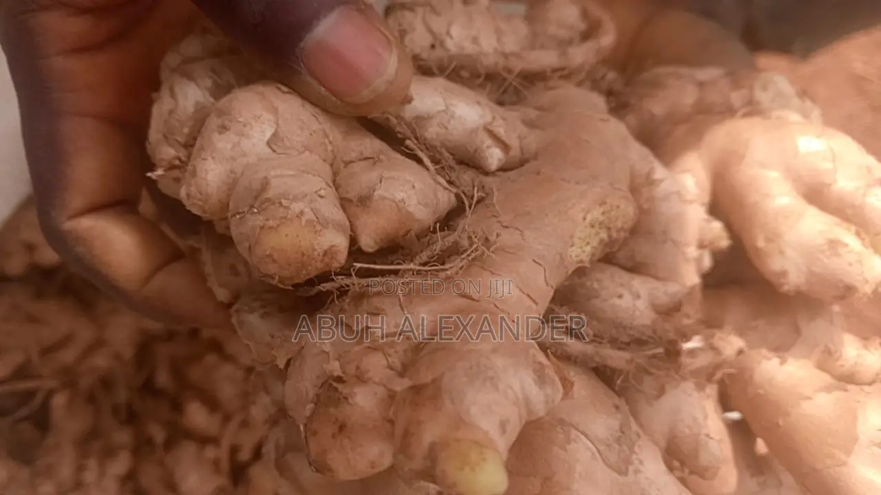 Fresh Ginger