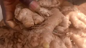 Fresh Ginger