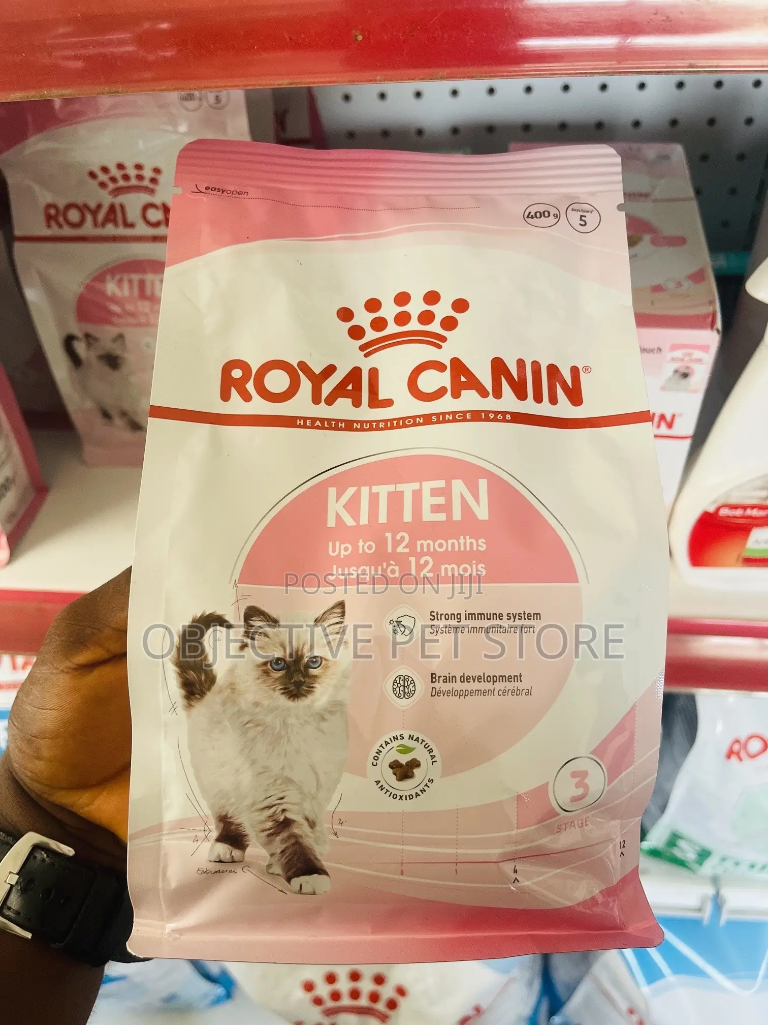 Royal Canine Kitten