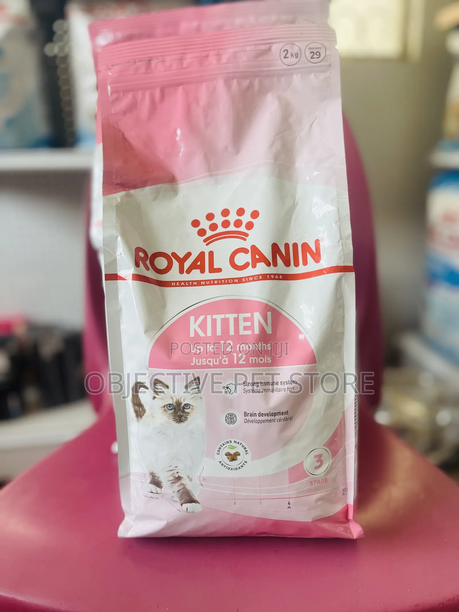 Royal Canine Kitten