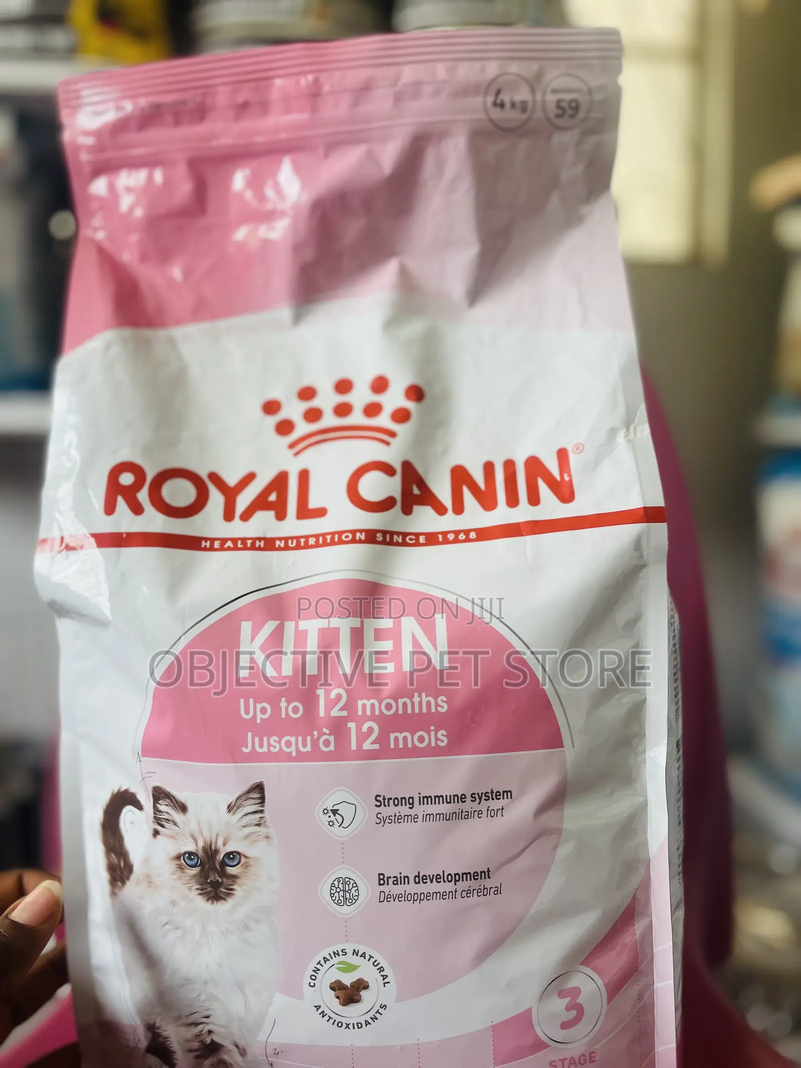 Royal Canine Kitten