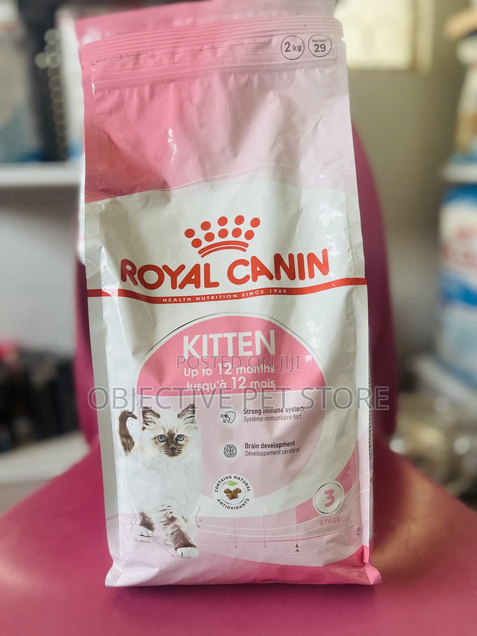 Royal Canine Kitten
