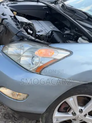 Lexus RX 330 2006 Blue