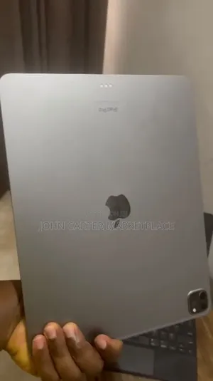 Apple iPad Pro 256 GB Gray