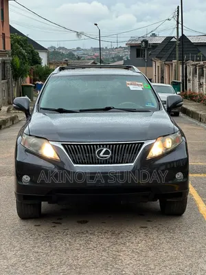 Lexus RX 2010 Gray