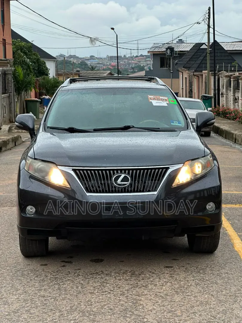 Lexus RX 2010 Gray