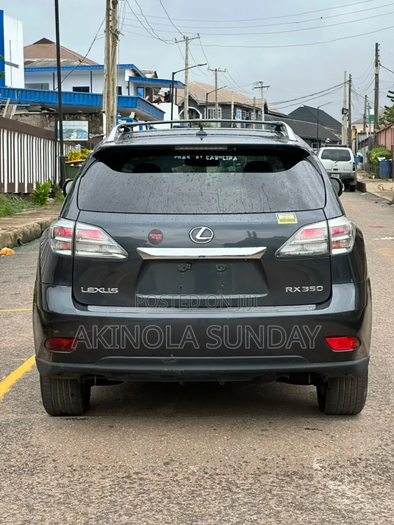 Lexus RX 2010 Gray