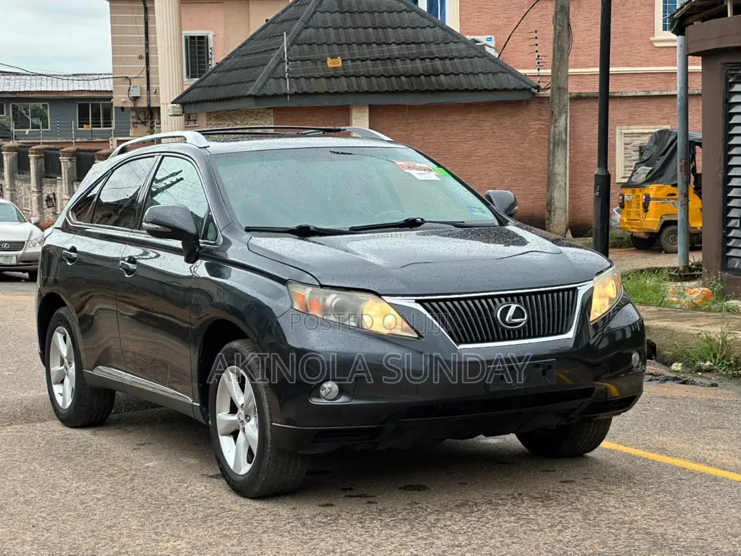 Lexus RX 2010 Gray