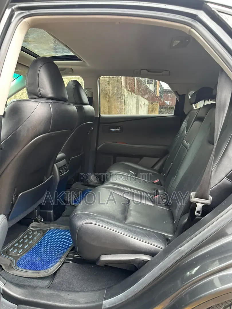 Lexus RX 2010 Gray