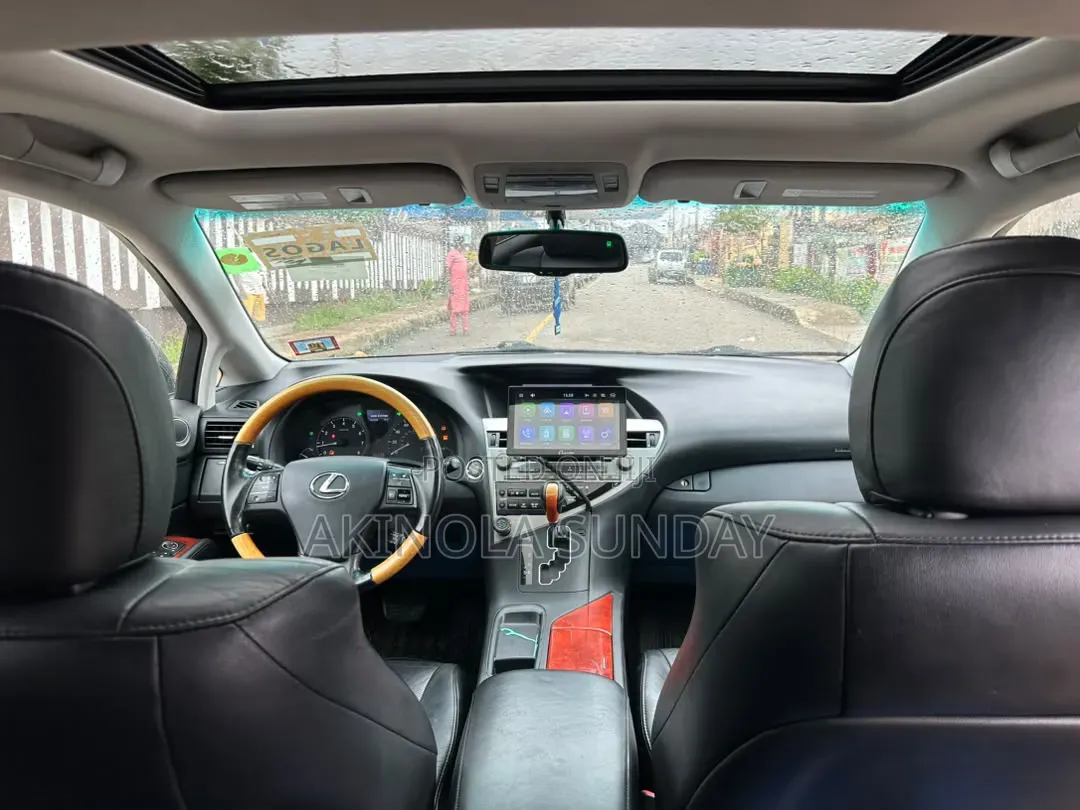 Lexus RX 2010 Gray