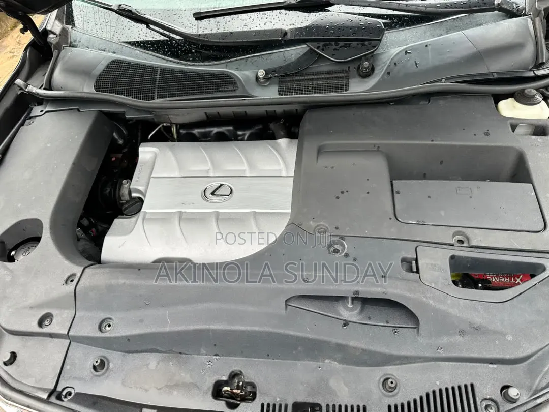 Lexus RX 2010 Gray
