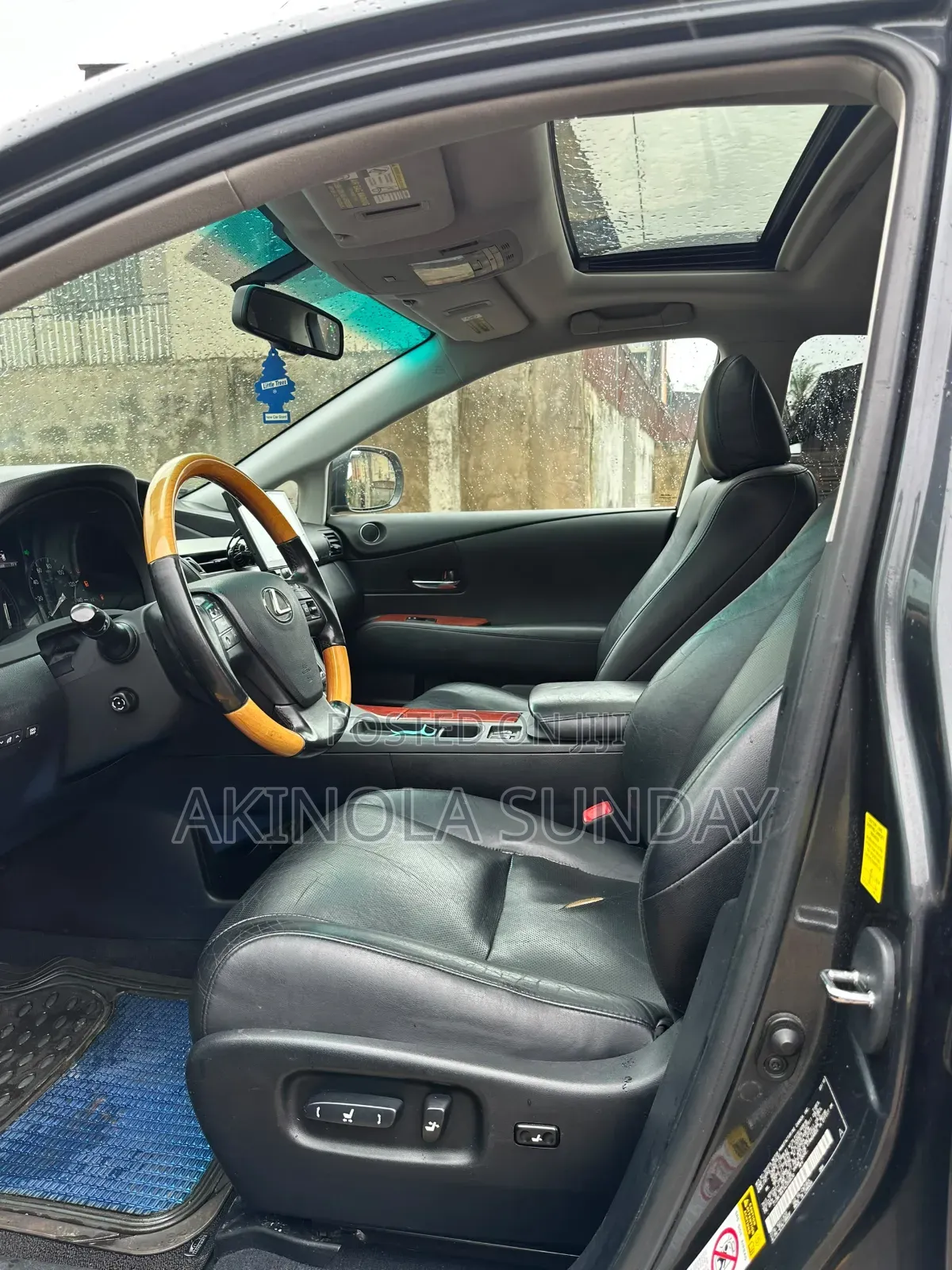 Lexus RX 2010 Gray