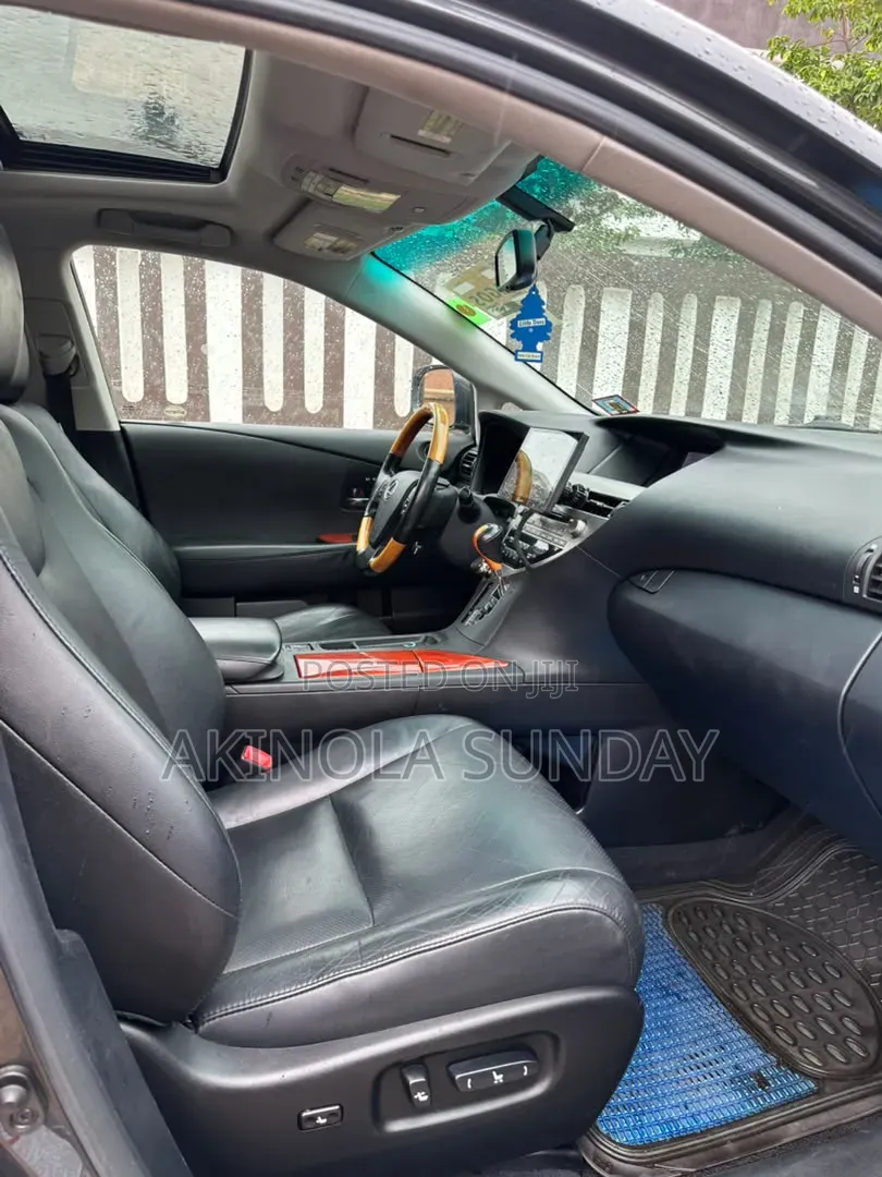 Lexus RX 2010 Gray
