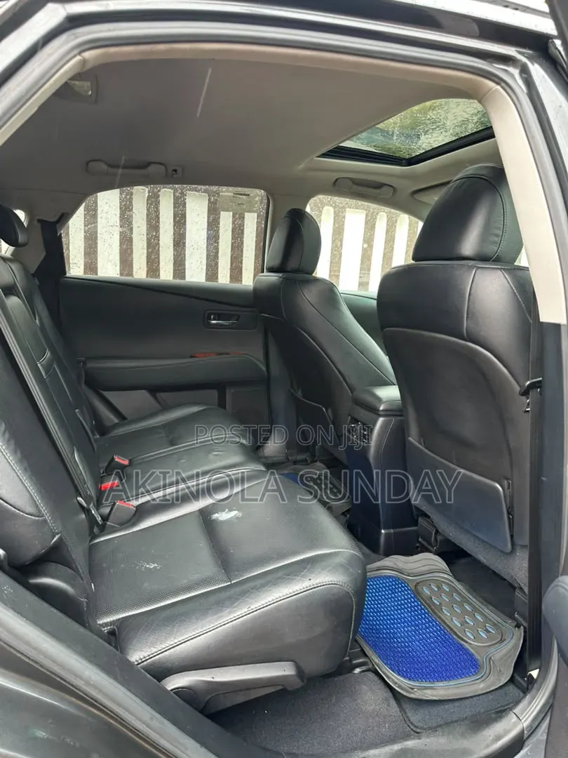 Lexus RX 2010 Gray