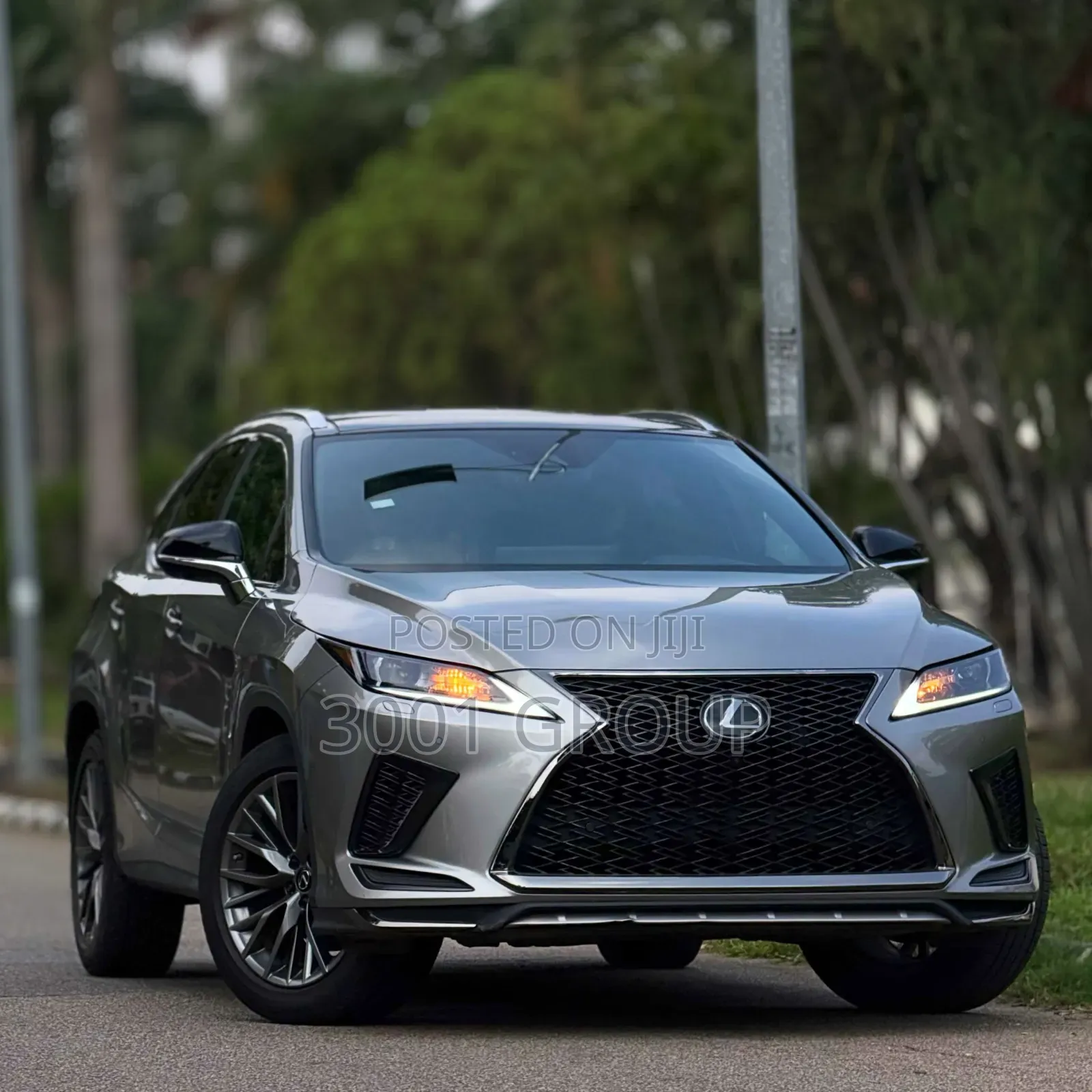Lexus RX 2020 Gray