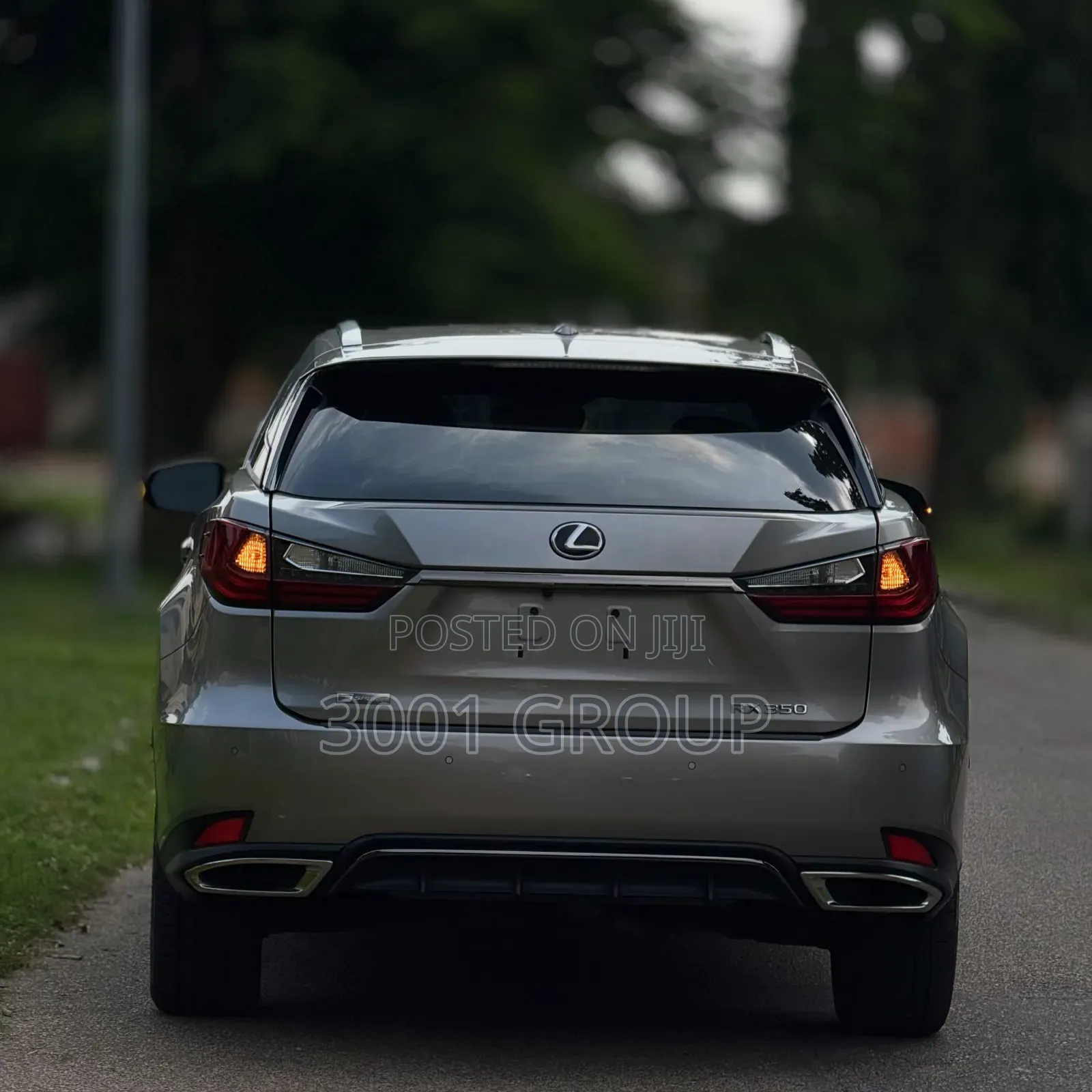 Lexus RX 2020 Gray