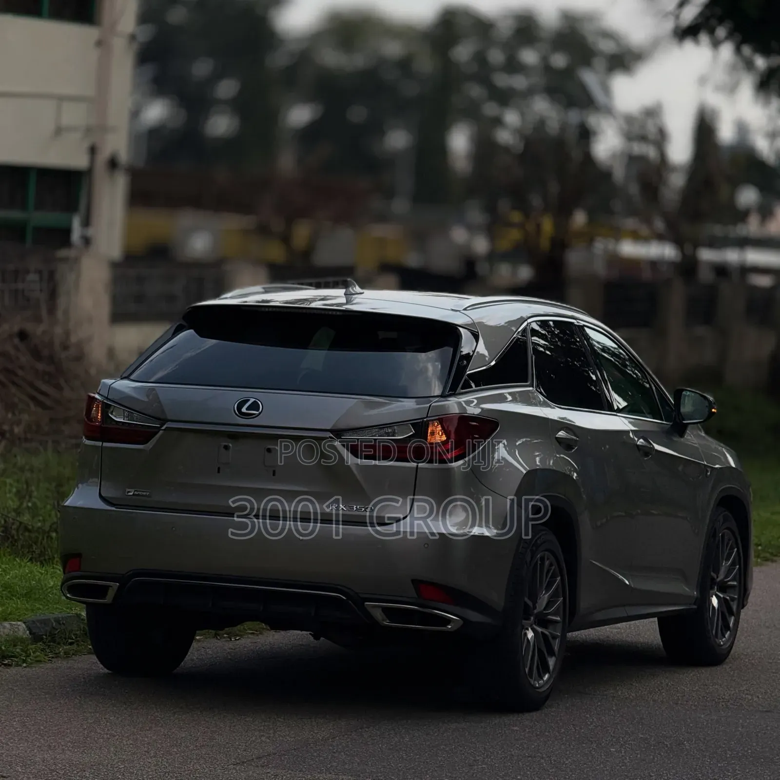 Lexus RX 2020 Gray