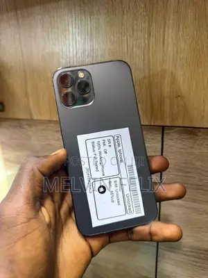 Apple iPhone 12 Pro Max 256 GB Black
