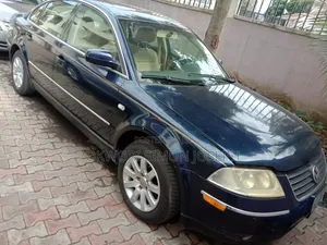 Volkswagen Passat 2005 Blue