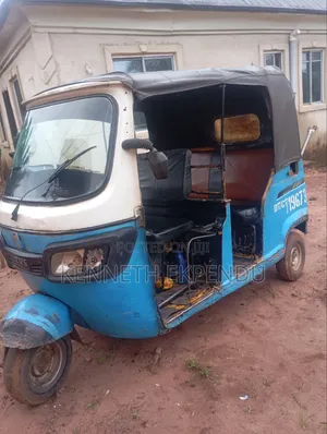 Tricycle 2024 Blue