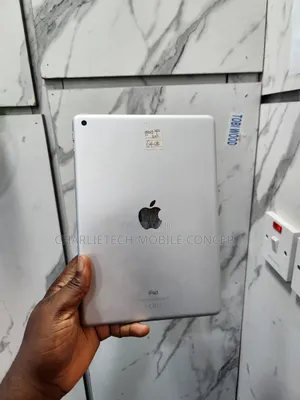 Apple iPad (2022) 64 GB Gray