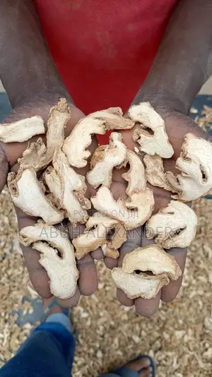 Dried Ginger