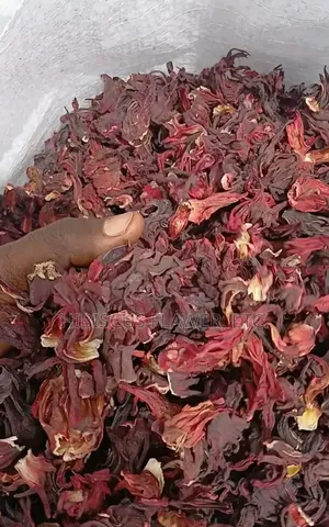 Hibiscus Flower Zobo