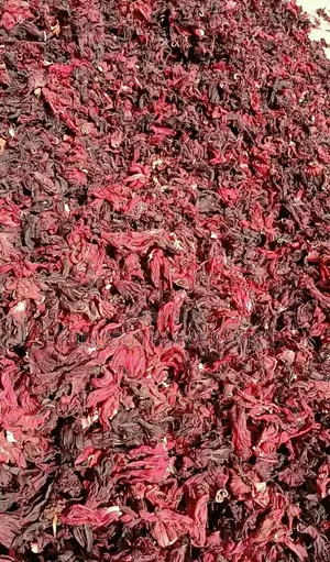 Hibiscus Flower Zobo