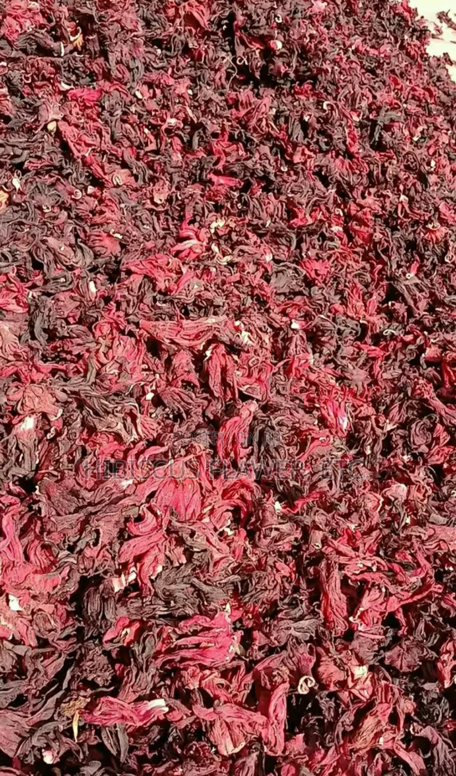 Hibiscus Flower Zobo