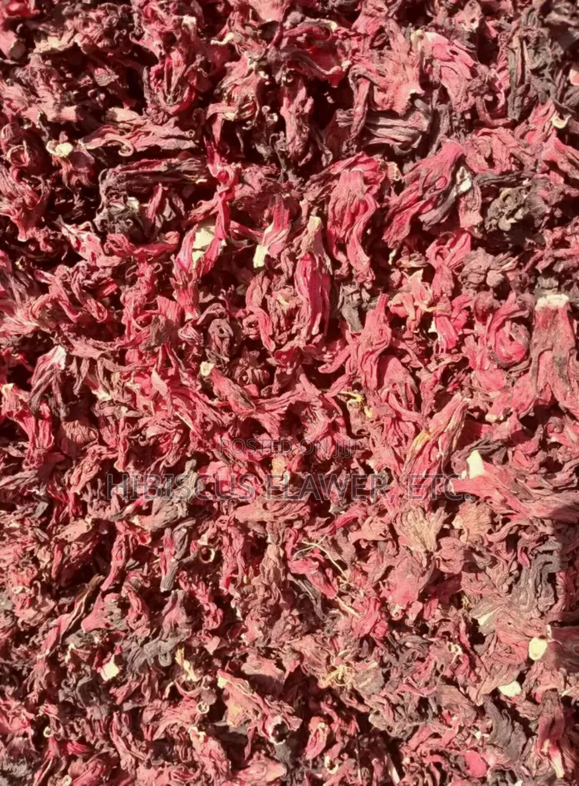 Hibiscus Flower Zobo