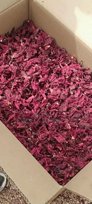 Hibiscus Flower Zobo