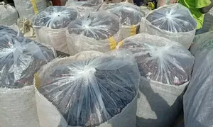 Hibiscus Flower Zobo