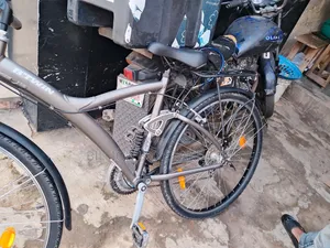 Foreign Quality Adult Bicycle