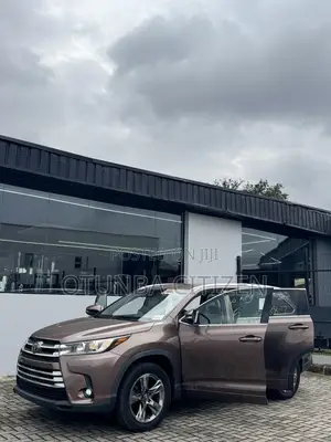 Toyota Highlander Limited Platinum 2019 Brown